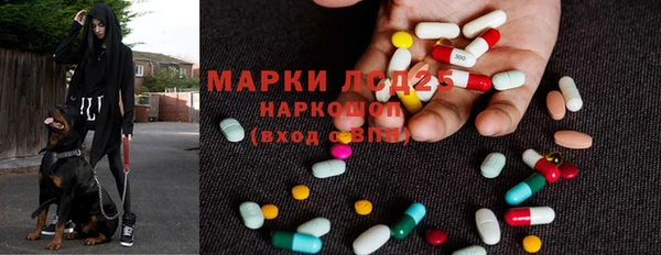 гидра Волоколамск
