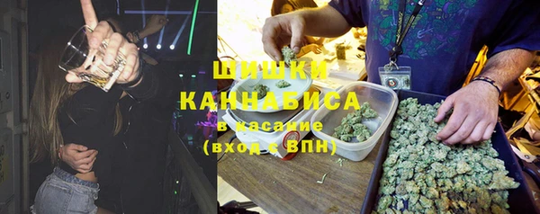стафф Володарск