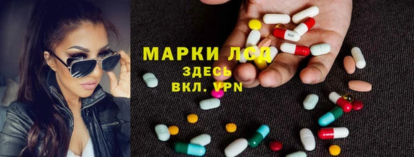 стафф Володарск