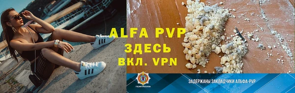 стафф Володарск