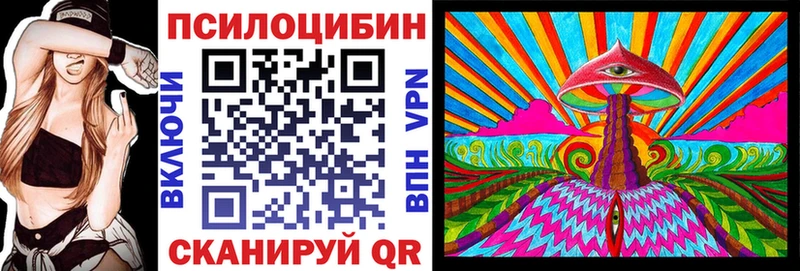 где купить наркотик  блэк спрут сайт  Псилоцибиновые грибы ЛСД  Курган 
